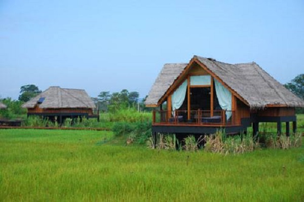 Eco-Friendly Hotels