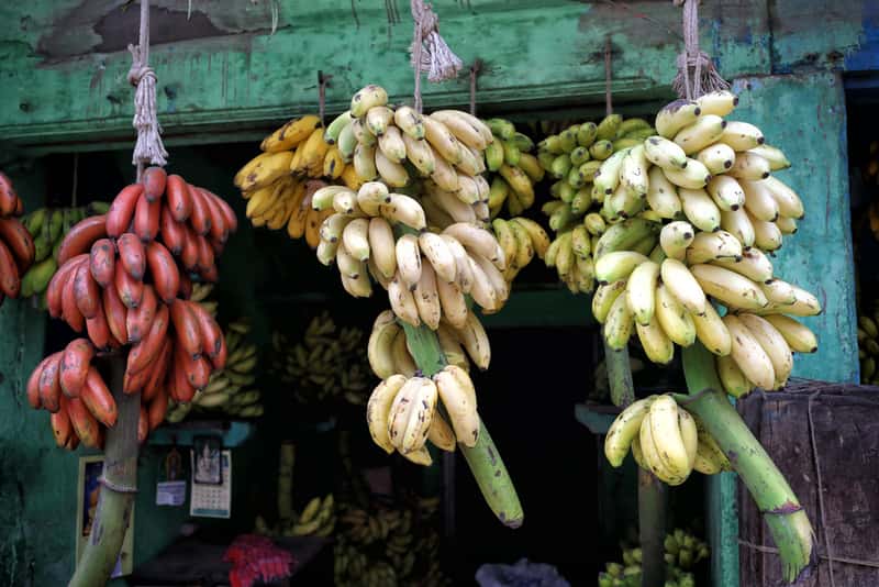 Banana Market