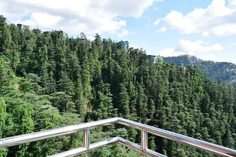 Kiala Forest | places to visit in shimla