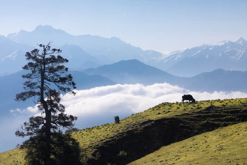 Dayara Mugyal, India