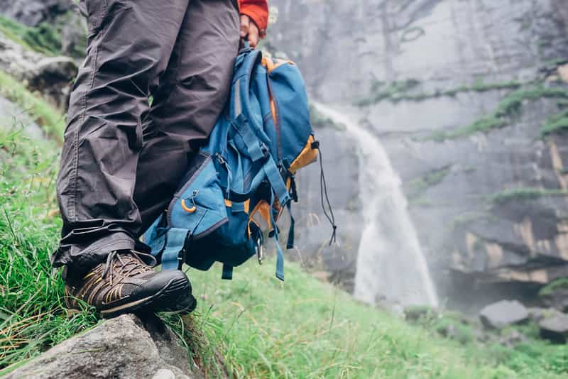 Traveller on Trek