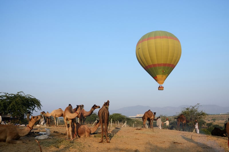 International Balloon Festival