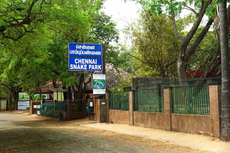 Guindy Snake Park