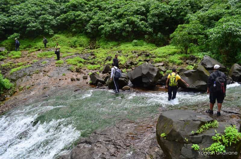 andharban jungle trek marathi