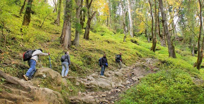 Trekkers enroute Kheerganga