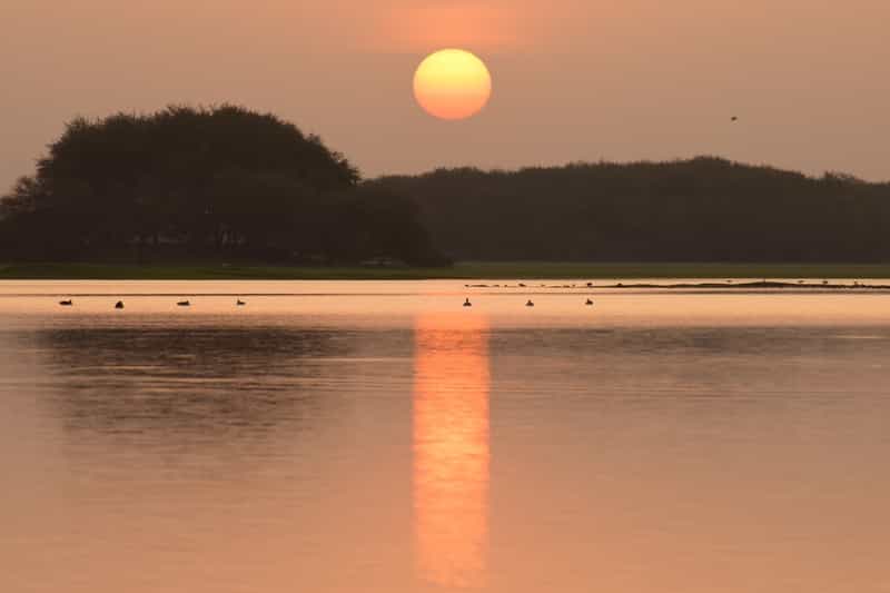 Thol Lake Bird Sanctuary