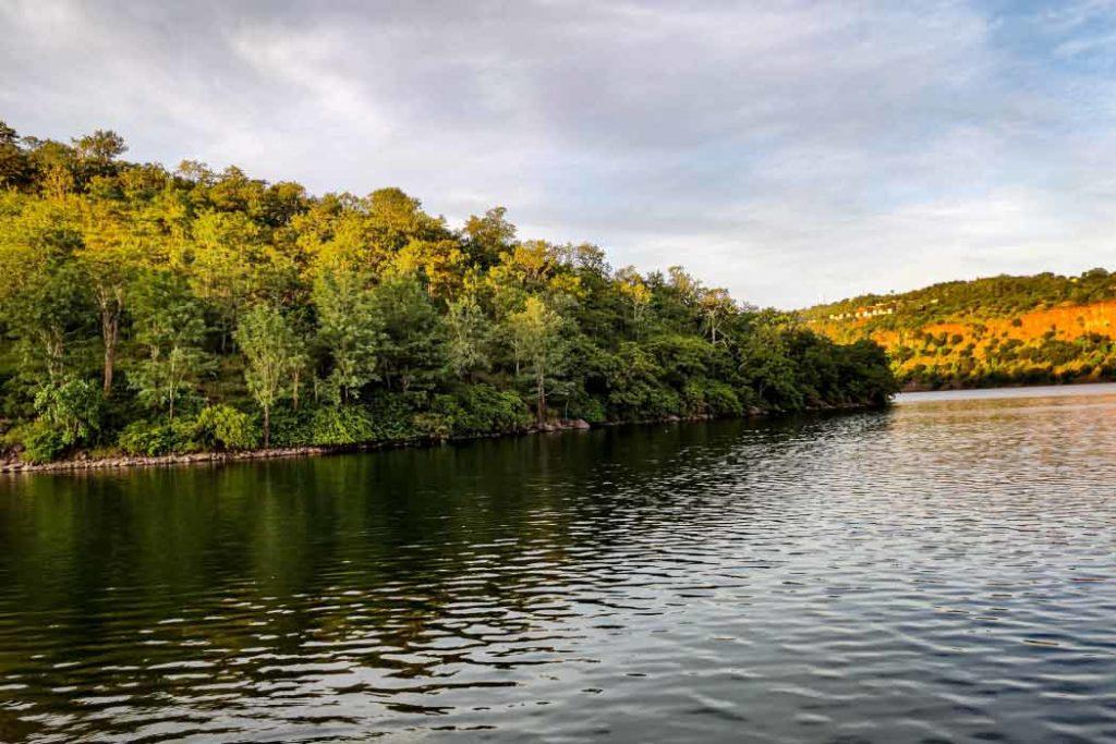 A serene view of the forest and river in the Nallamala Hills