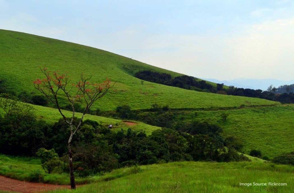 Visit Baba Budangiri the first places to grow coffee.