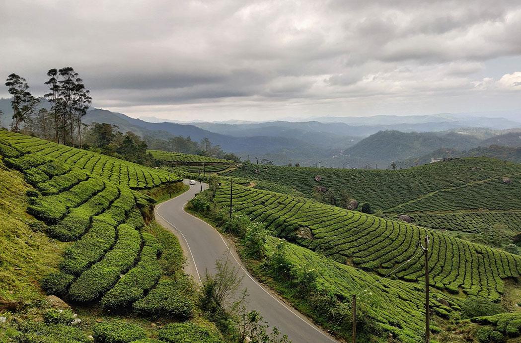 The Best Time To Visit Munnar Winter, Summer Or Monsoon Season