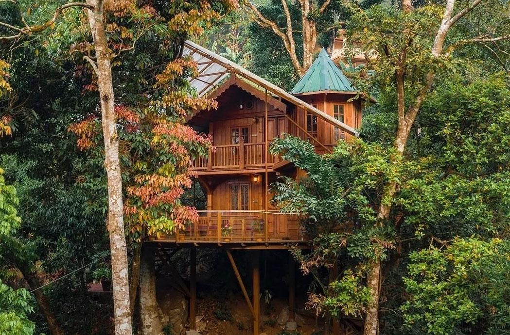 Into the Lap of Nature: 15 Enchanting Tree Houses in India – Treebo Blog