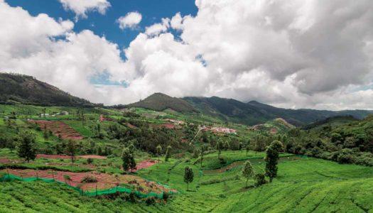 Beyond Tea Estates: 15 Best Places to Visit in Coonoor