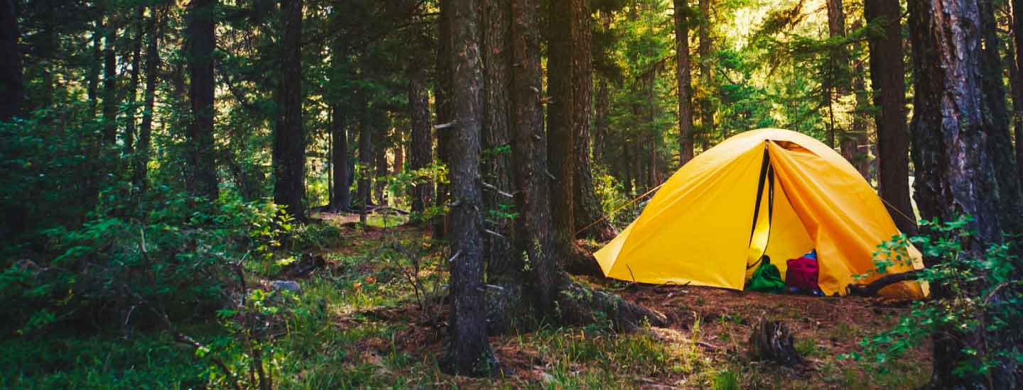 Jungle Camps: Relax and Rejuvenate Amidst The Comfort of the Wilderness