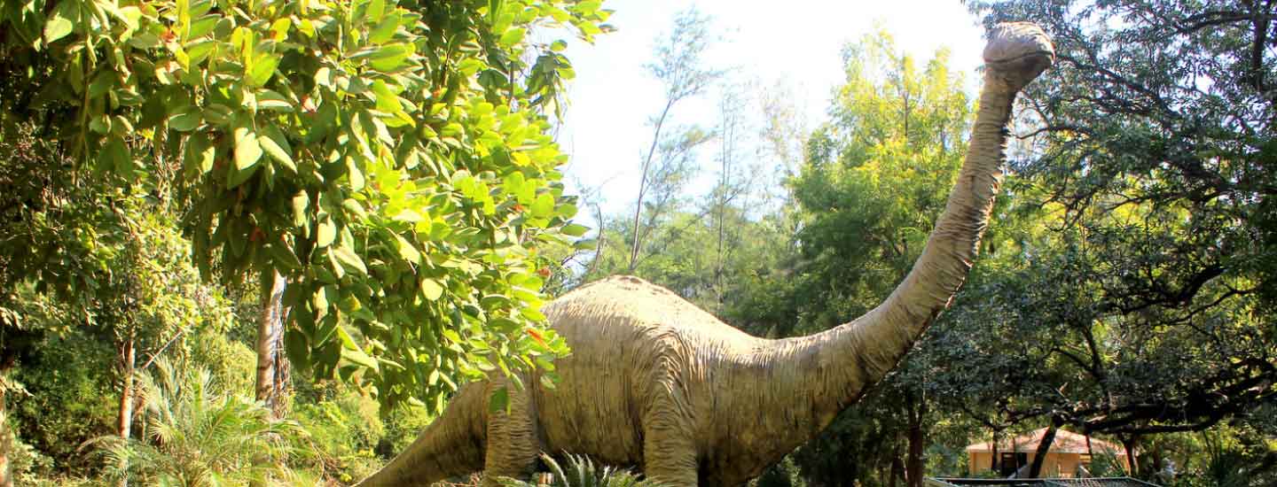 Fossil Parks in India: Majestic Dinosaurs, Mysterious Trees and More!