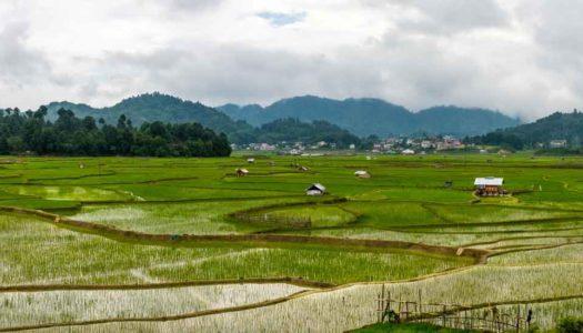 Ziro Valley, Arunachal Pradesh: A Happy Hamlet Away from the Chaos