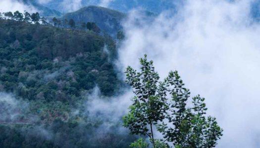 Places to Visit in Kodaikanal: Your Handy Guide to Explore the Southern Beauty