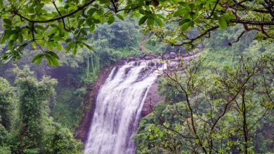 Places to visit in Igatpuri.