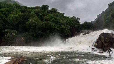 Places to visit in Tirunelveli