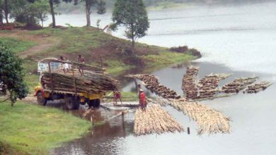 Places to visit in Pathanamthitta